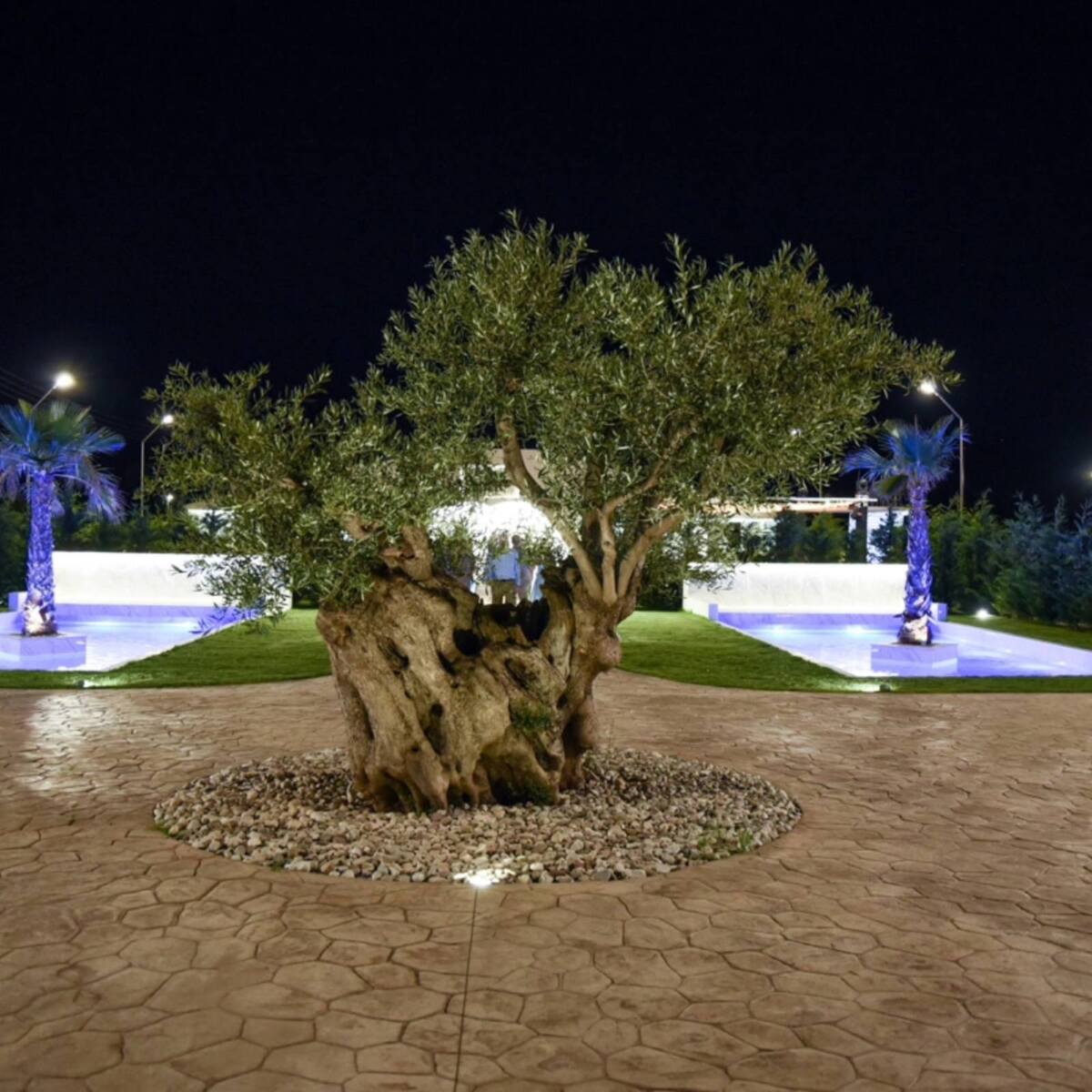 Ktima Arsinoi  portfolio